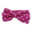 Collar Con Corbatin Humita Para Mascotas Talla M